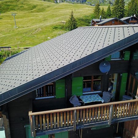 Eliane Apartman Bettmeralp Kültér fotó